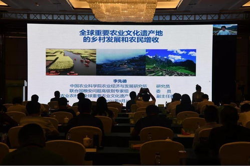 青田举办全球重要农业文化遗产中国交流会，共谋农遗保护与发展新篇章