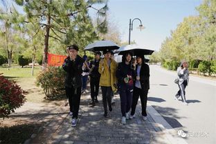 川美手工艺术学院与艺术设计学院课程研讨交流会策划方案