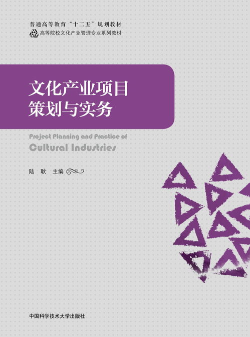 文化产业项目策划与实务 以文化艺术交流活动策划为例